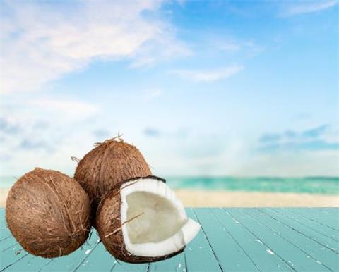 椰子的营养价值与功效