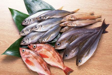 吃止咳药期间别吃鱼